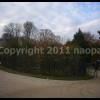 imagebam.com