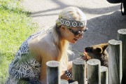 Paris Hilton パリス・ヒルトン